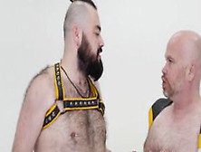 Superchub Facefucks And Barebacks Heavy Bear