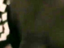 Let me suck you quickie honey