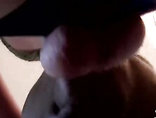 MENAGE À TRIAndroid cet Pervertness 5Panel MoanLIGHT DE NOT Lincolnoton