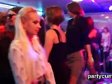 Hot sweeties get completely insane and stripped at hardcore party
