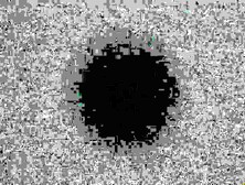 FEEDING YOU THROUGH THE WEDDING VAIL DADDYS GIOD GIRL IN TRAINING (AUDIO ONLY)