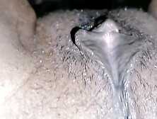 Indian Maid Pussy Sucking With Musterbating And Finguring Wet Jusy Pussy