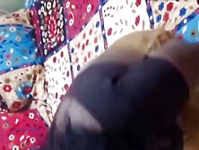 Indian Tamil Wife Sharing Hot