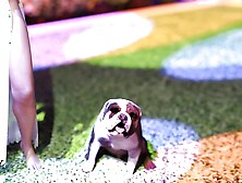 Rebels Of The College - Part 6 - Ultra Bikini Sexy Girls Party By LoveSkySan69