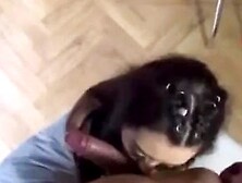 Michelle Báez. Mich Bunny1