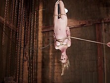 Blonde Tormented In Hogtie Suspension