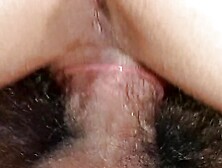 A shy Japanese babe gets her hairy pussy pleased