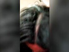 Daniela Duran sucks dick in a public bus and swallows cum from a random stranger