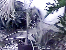 Retro Blonde Skank Sucks And Fucks Outdoors