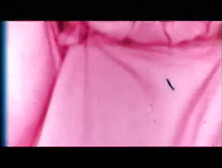 42nd SP Lillian Parker 3