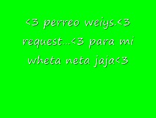 Perreo