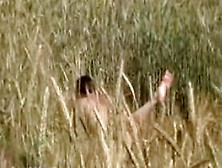 Amateur Fuck On A Wheat Field