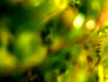 MASSIVE LANDSLIDE OF JUICY GORGEOUSNESS ALL NATURAL DELIGHT WILL BLOW YOUR MIND!