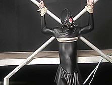 Bdsm Zentai 02