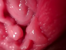 Close Up Thick Vagina Spreading And Kinky Talk