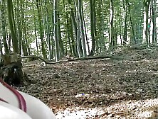 Horny In The Woods The Horny Bbw Milf Fucked Part 1