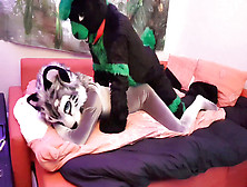 Lizard Gay Yiff,  Gay Yiff,  Murrsuit Femboy