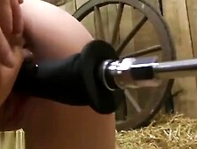 milked and machine fucked