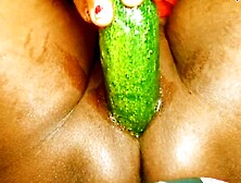 Indian Village House Wife Veena Fucking With Cucumber
