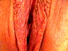 Close up and inside of Labia