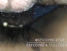 Stickyricetop - Breeding A College Boy