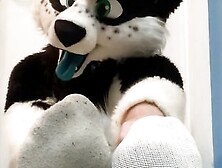 Furry Shows Off Feet & Fucks A Plushie