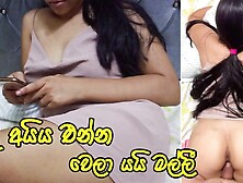 The Hotel Room Cleaner Boned me Hard and Cream pie - Sri Lankaකාමරය පිරිසිදු කරන්න ආවා