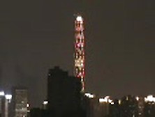 桃花欠操