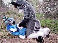 Horny Furries Fuck In The Wild