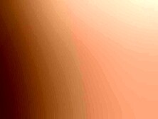 Isabella Sitrav - a Wang for Everybody