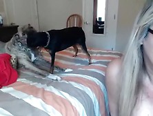 backwoodsbeaver intimate record on 2/1/15 14:23 from chaturbate