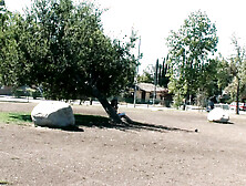 Piper Austin Uses Her Giant Breasts To Get Guys