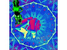 Suzy Wylde ???????????? “God At A Festival” Little Stranger with Andy Frasco & UN with Damn Skippy