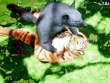 Wild Life 4K - Tiger X Wolf