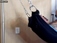 Amateur Gaydaddy Jerks Off His Cock At Home While Lying In A Sling