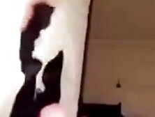 Rainey James Blowjob Cum In Mouth