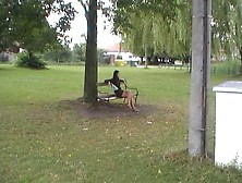 dilettante sex with wicked angel fucking in nature's garb outdoor