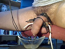 Collection Of Sperm,  Estim Cumshot Flaccid Cock