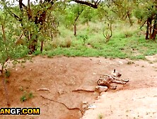 Hawt Ebony Girlfriend Hard Vagina Pounded By BWC American In Amateur Bang