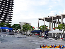 Busty black babe gobbles