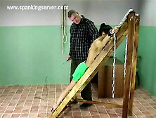 Sunny Bb Classic07312