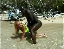 Destination Guadeloupe scene 4