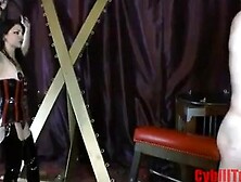 Domme Singletails Naked Male Slave