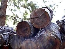 Private Cabin 2 - Sky Pierce