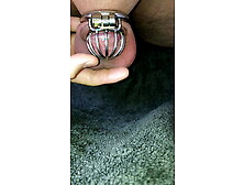 Pov Micro Chastity Cage Release Cum Shot