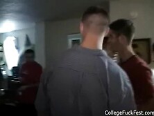 College teen doxies partying and teasing