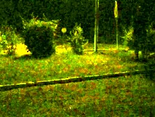 In order for a whore to listen, she needs to be trained hard.