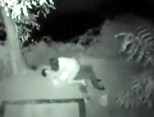 Copulating in the night