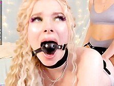 9cc1e B277ff88ebe33a9c4d7b9f