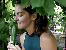 Katie - Swinging Zucchini - Katie Zucchini